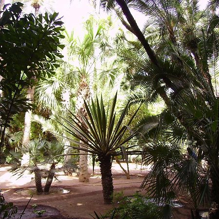 Appart Avec Vue Jardin/Majorelle Marrakesz Zewnętrze zdjęcie