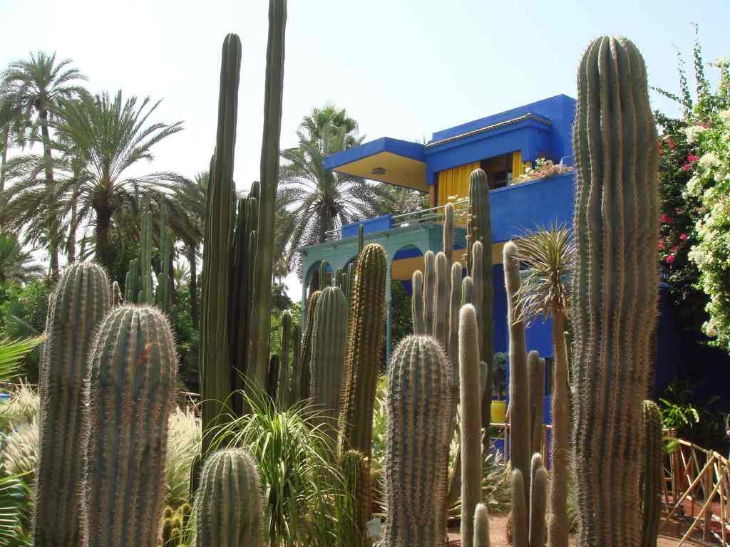 Appart Avec Vue Jardin/Majorelle Marrakesz Zewnętrze zdjęcie