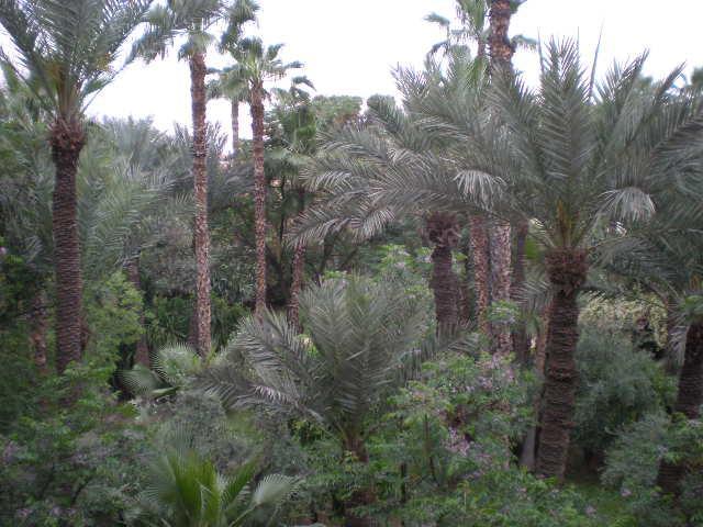 Appart Avec Vue Jardin/Majorelle Marrakesz Zewnętrze zdjęcie