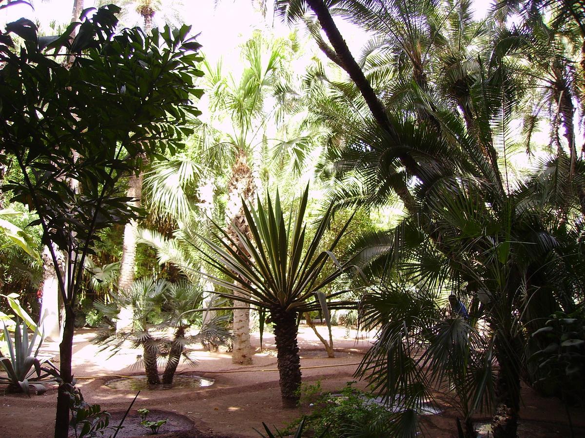 Appart Avec Vue Jardin/Majorelle Marrakesz Zewnętrze zdjęcie